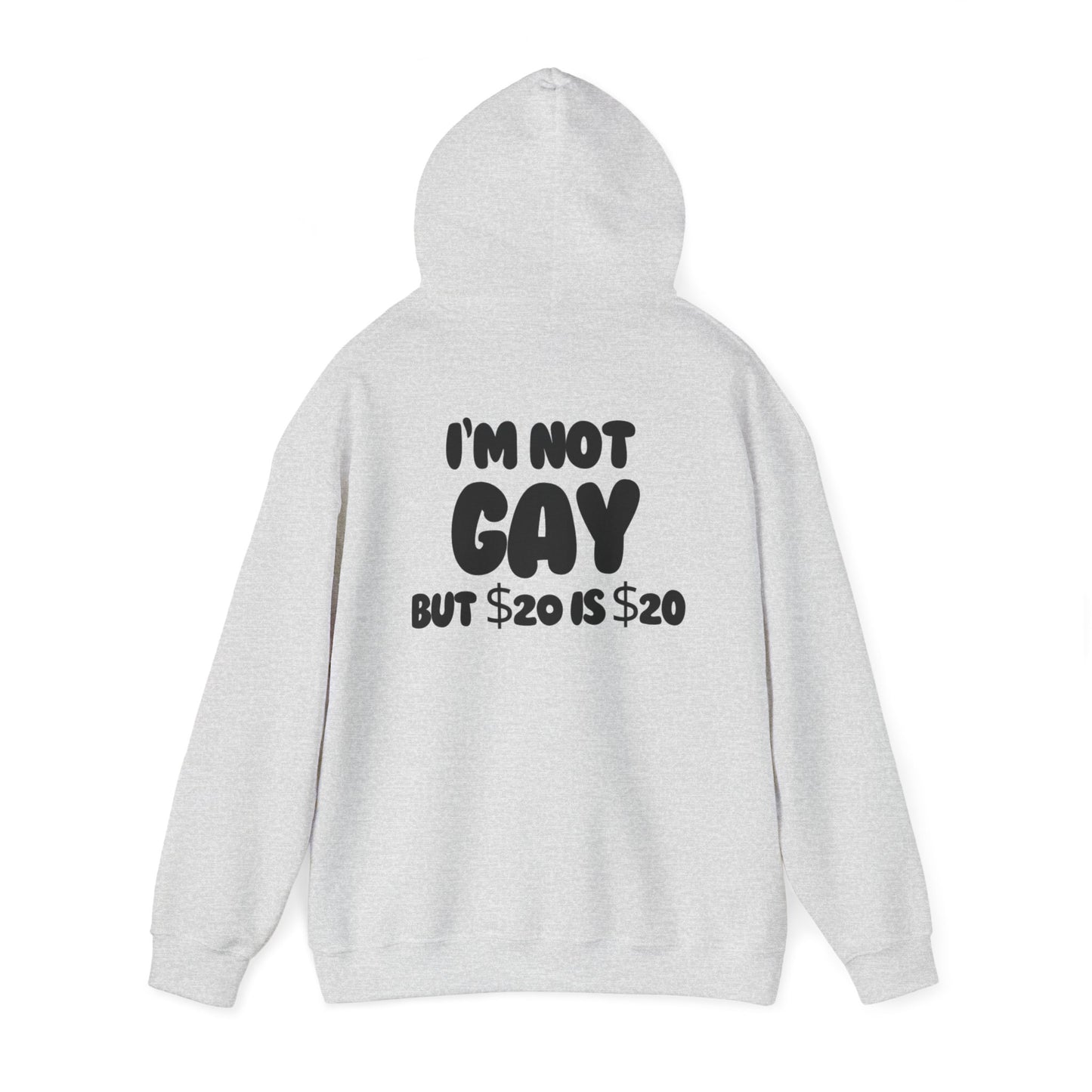 i'm not gay™ Hooded Sweatshirt