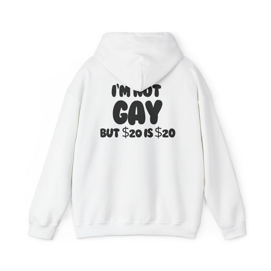 i'm not gay™ Hooded Sweatshirt