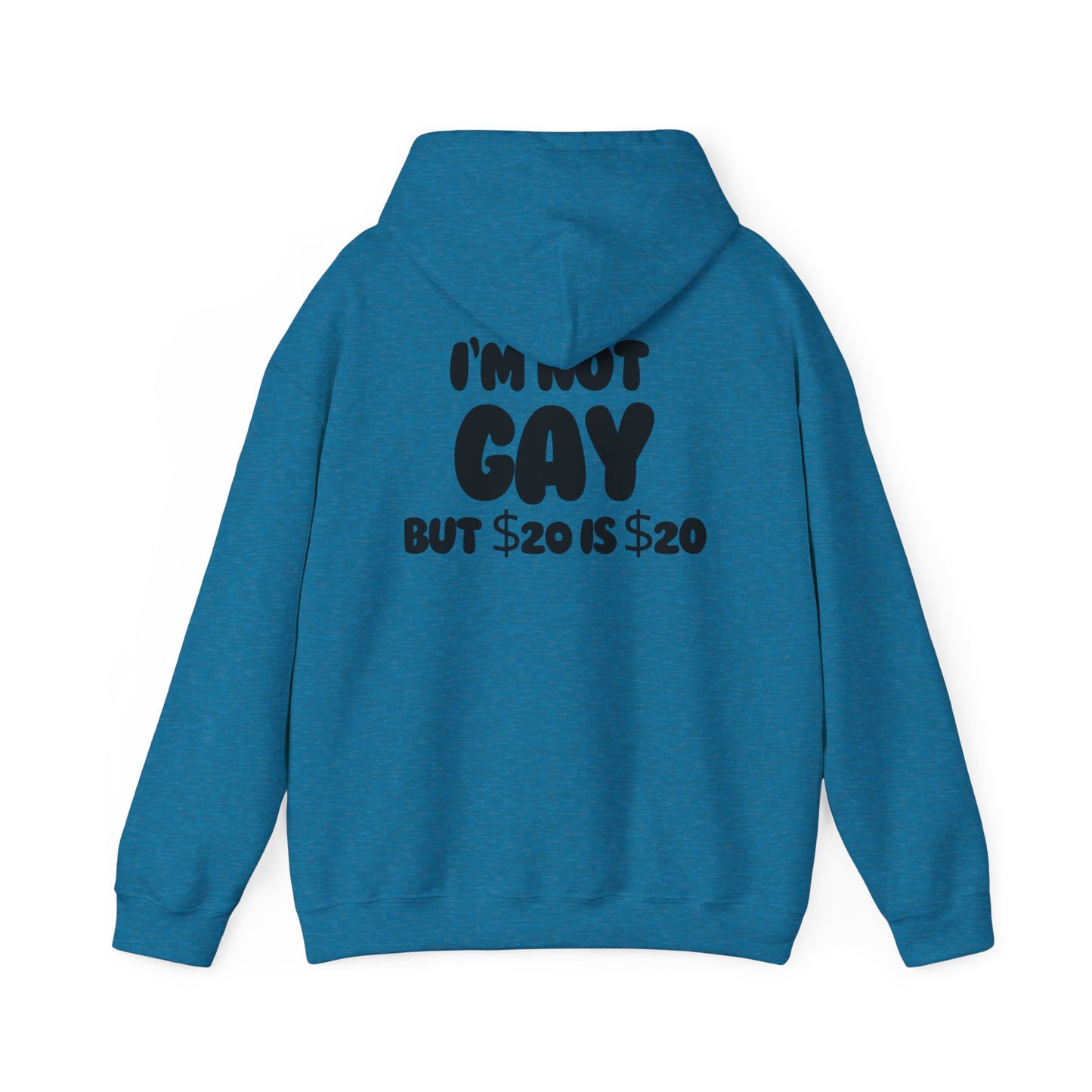 i'm not gay™ Hooded Sweatshirt