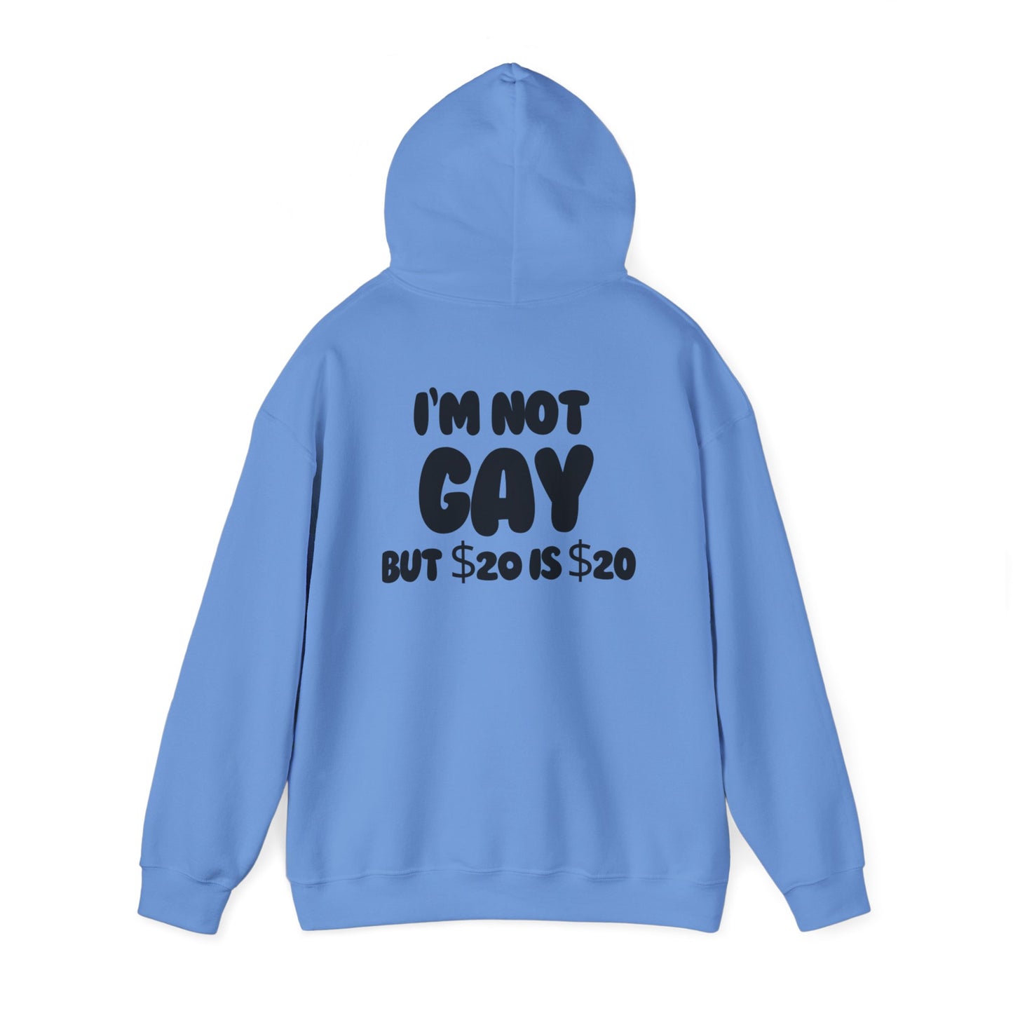 i'm not gay™ Hooded Sweatshirt