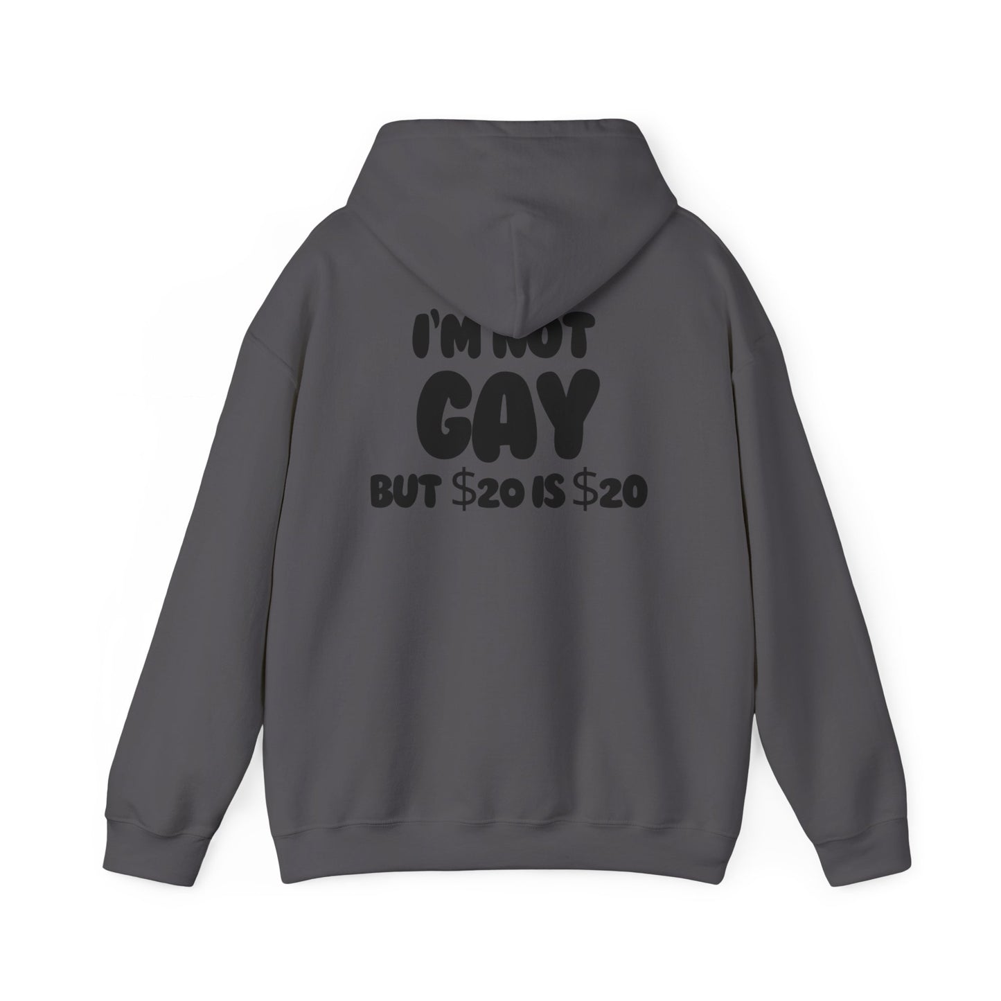 i'm not gay™ Hooded Sweatshirt