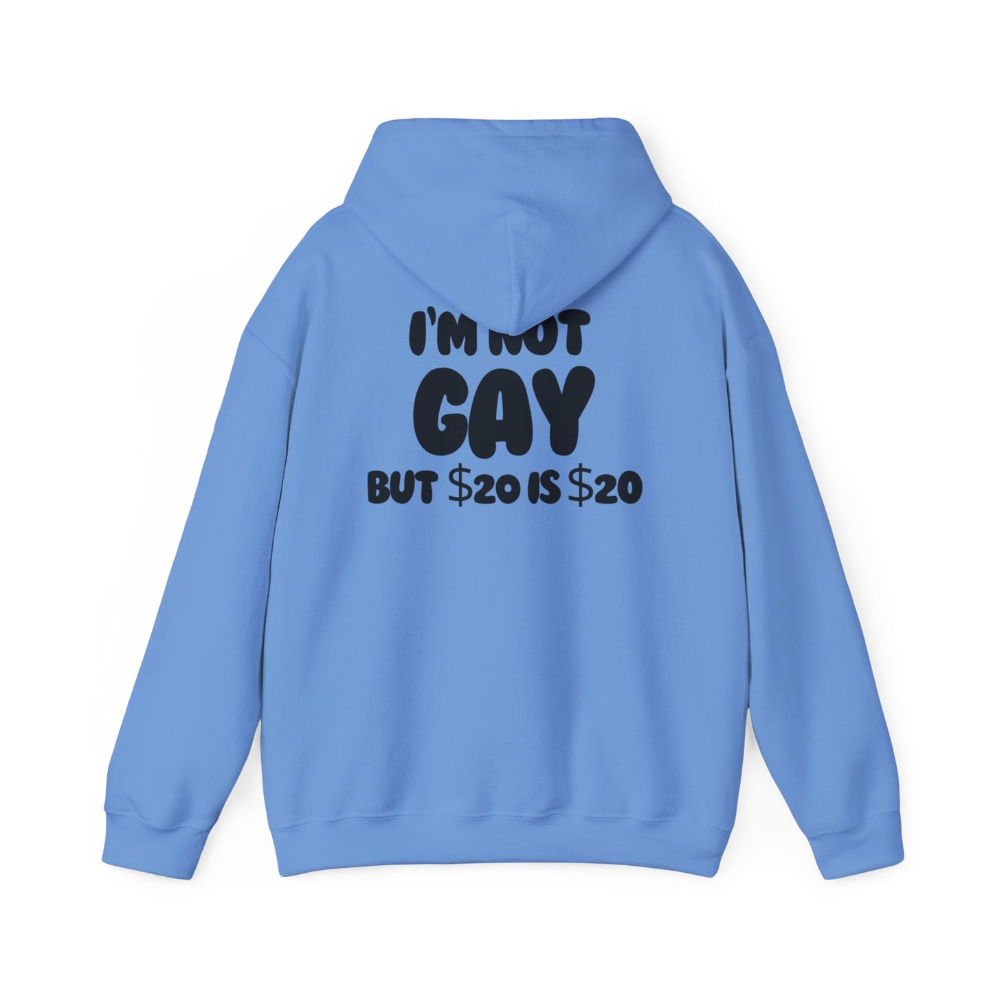 i'm not gay™ Hooded Sweatshirt