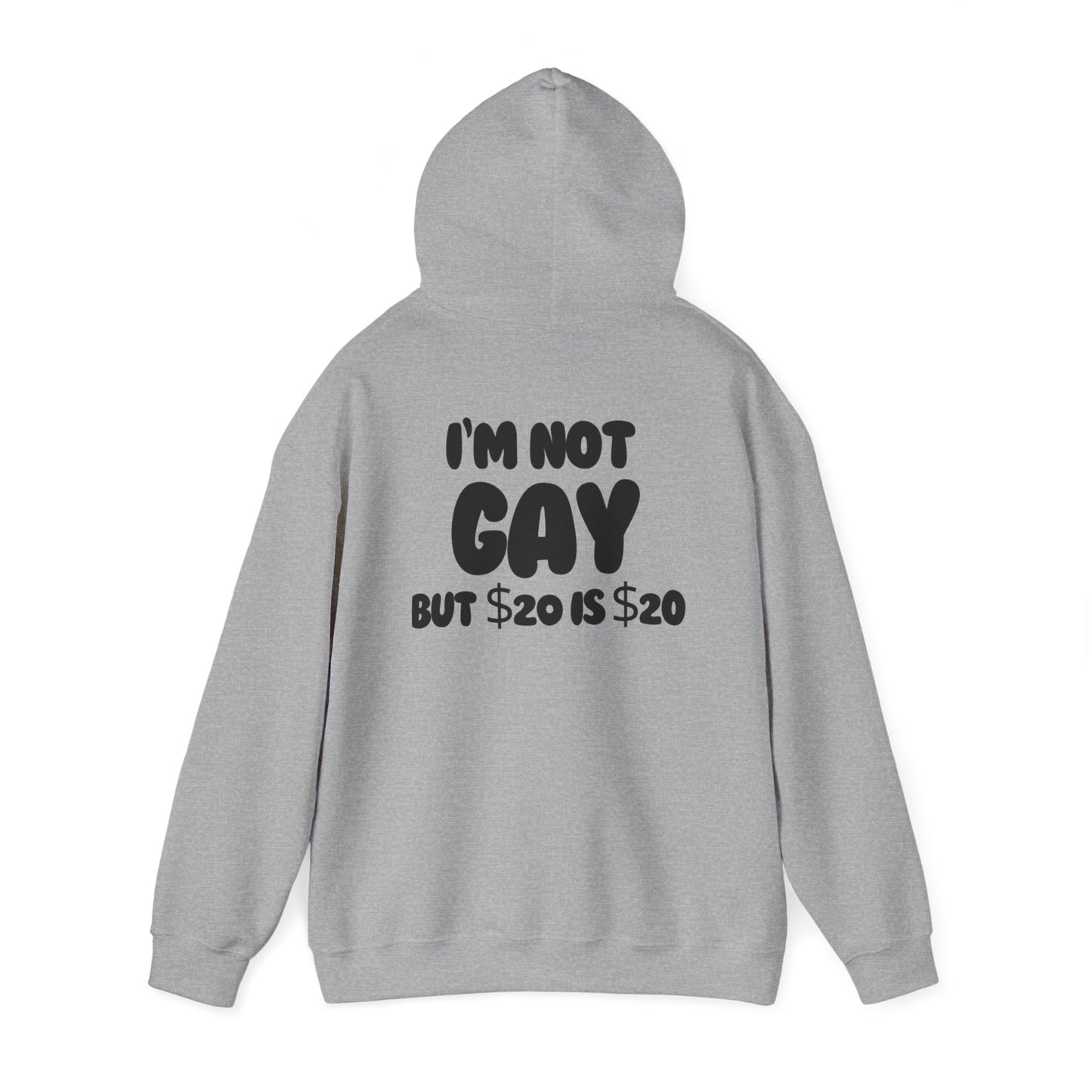 i'm not gay™ Hooded Sweatshirt