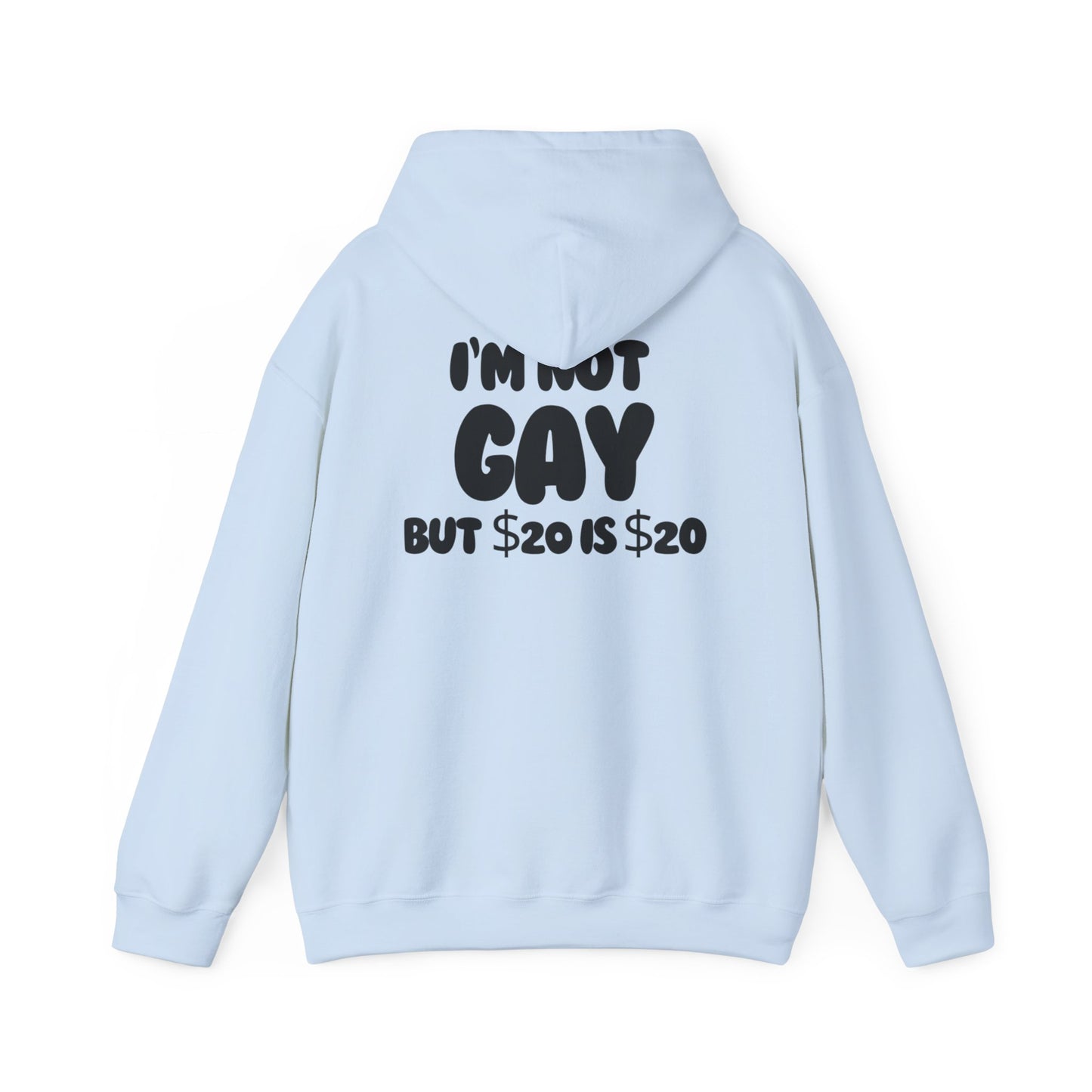 i'm not gay™ Hooded Sweatshirt