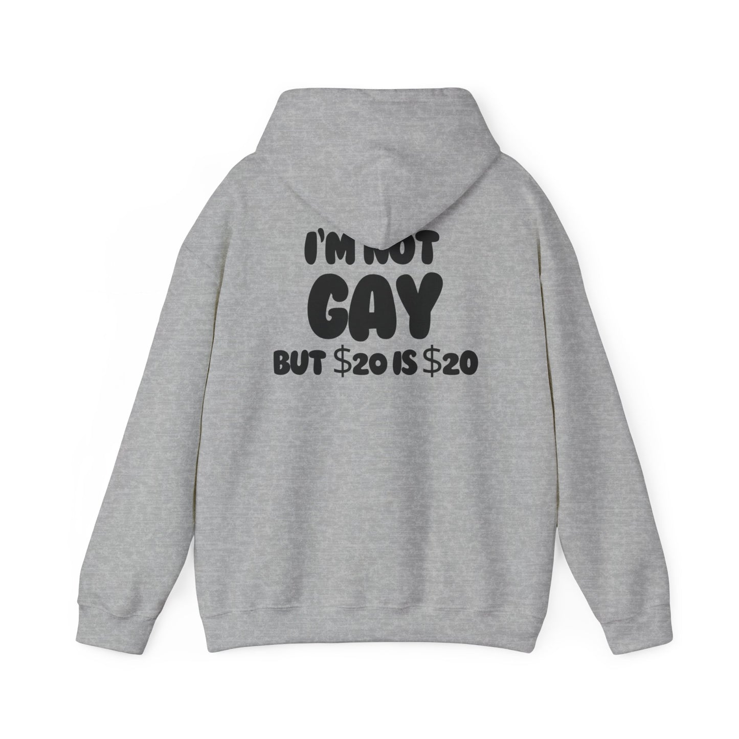 i'm not gay™ Hooded Sweatshirt