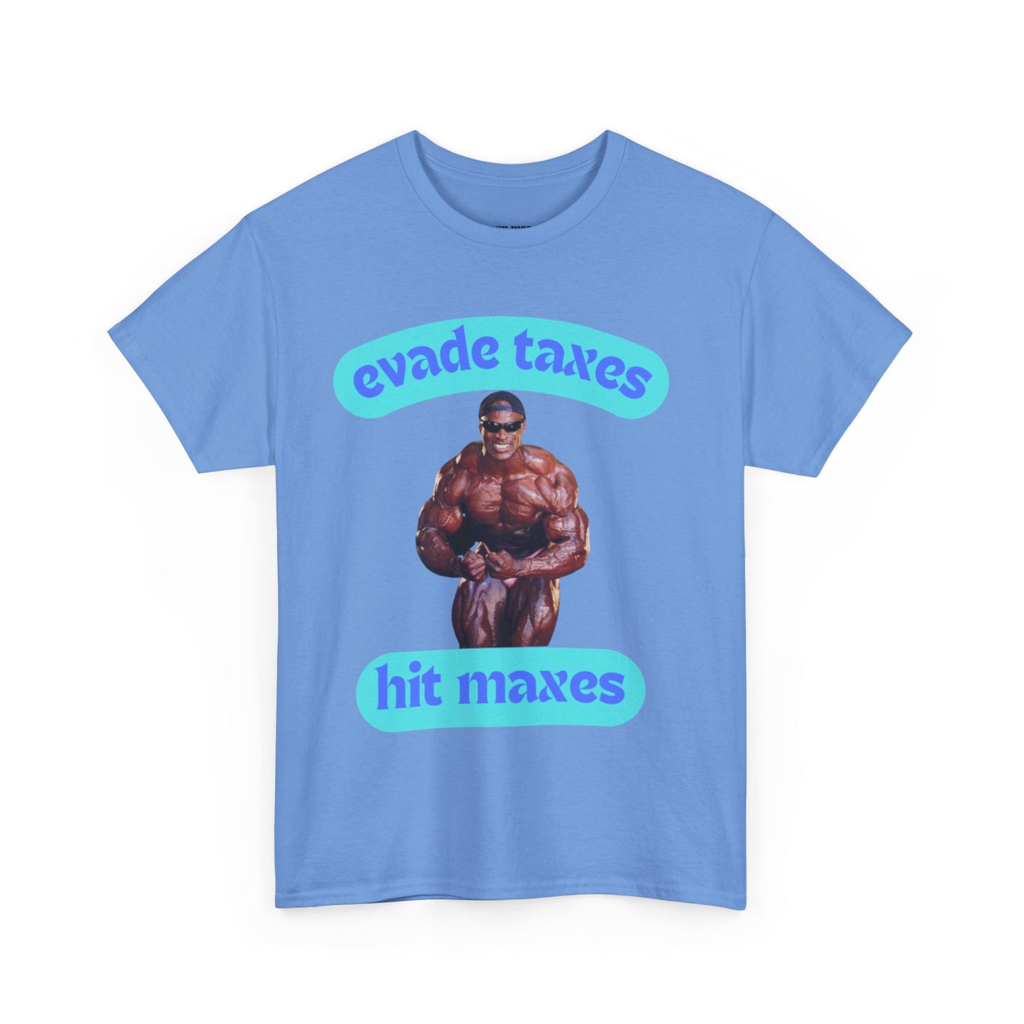 evade taxes Cotton Tee