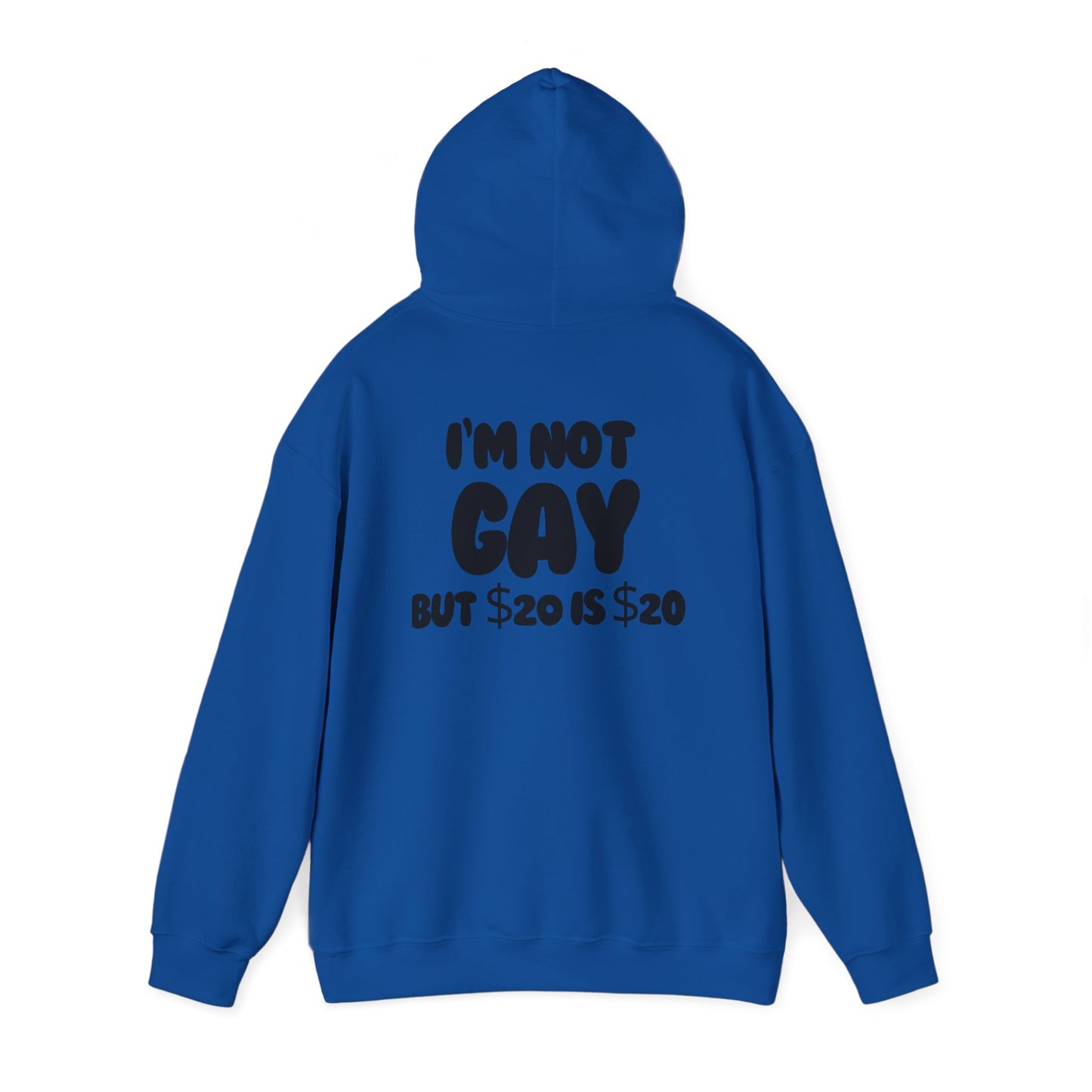 i'm not gay™ Hooded Sweatshirt