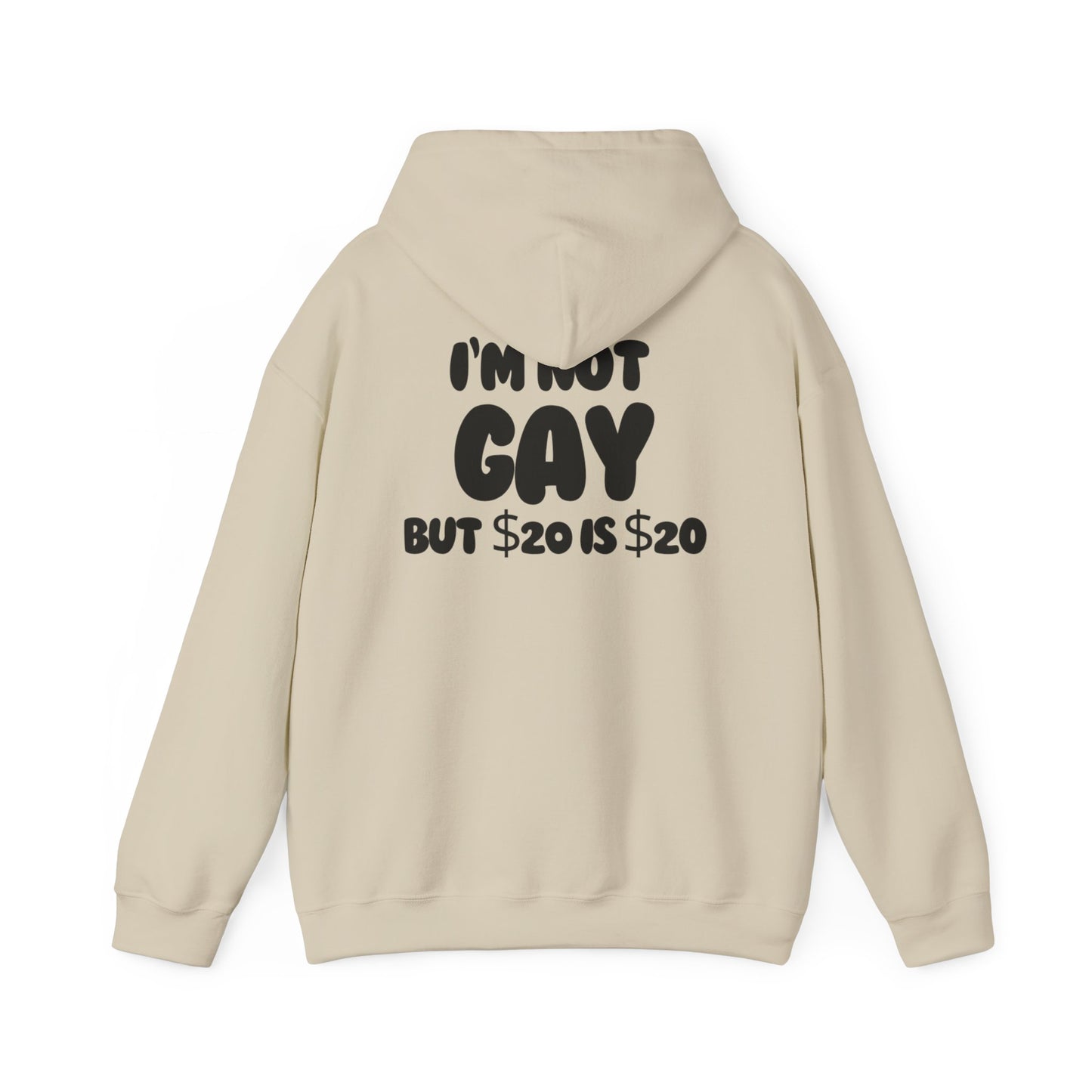 i'm not gay™ Hooded Sweatshirt