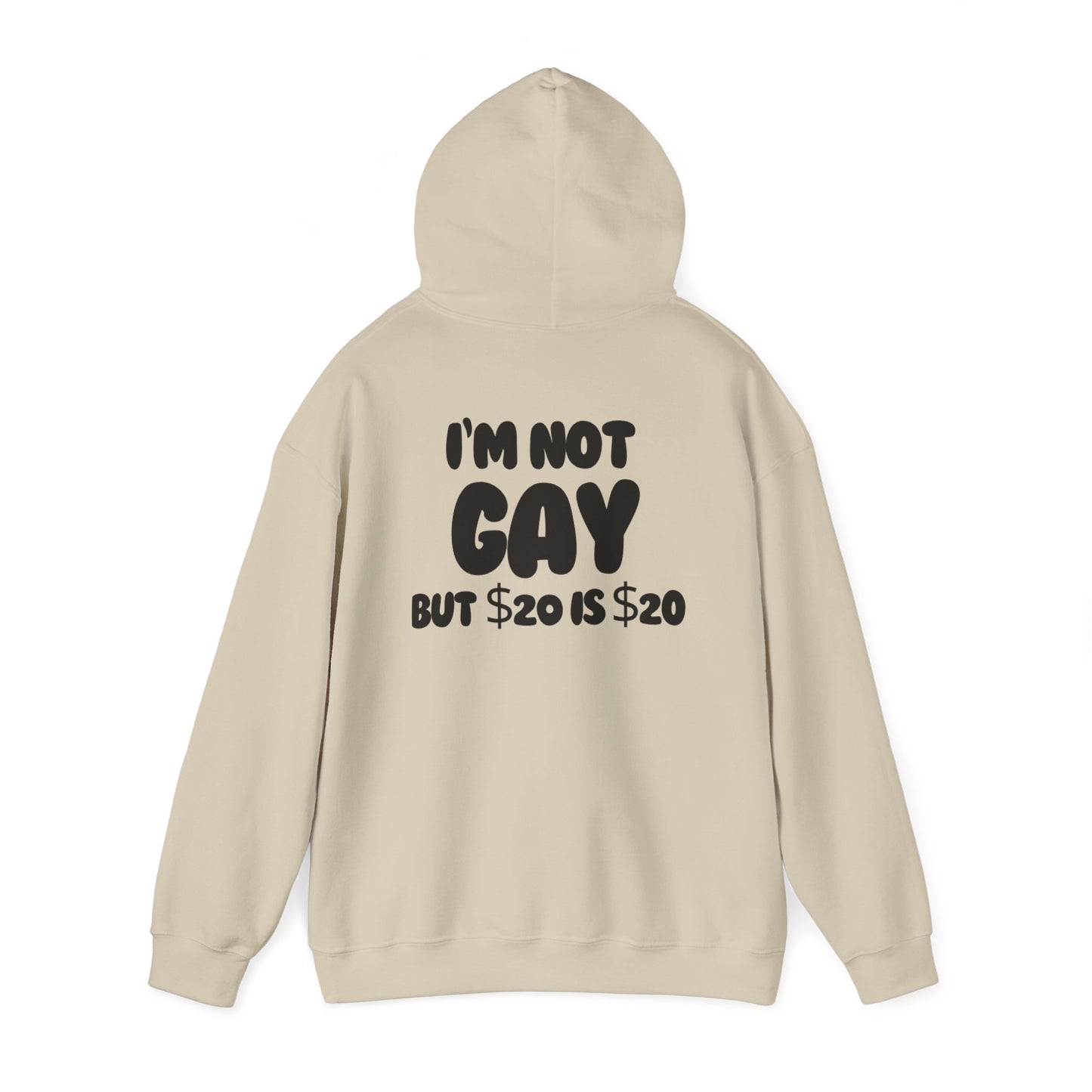 i'm not gay™ Hooded Sweatshirt