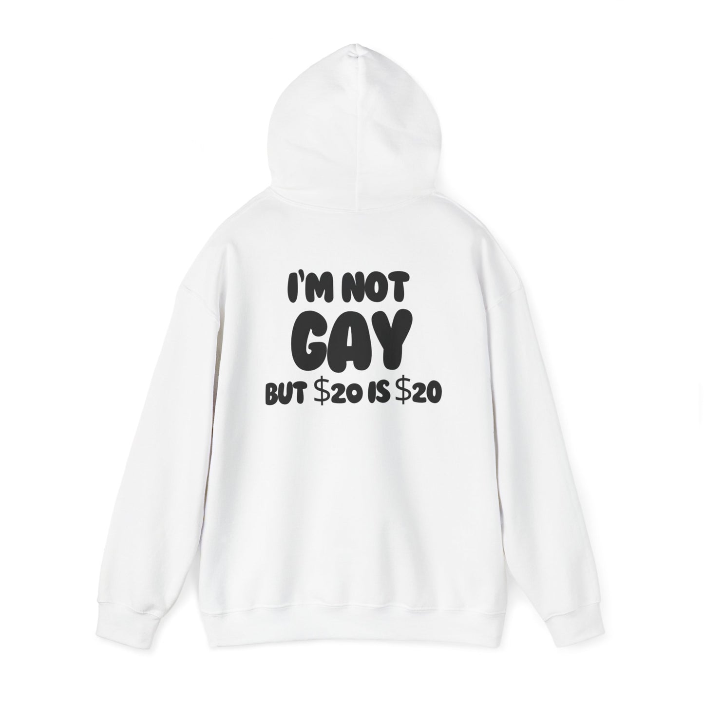 i'm not gay™ Hooded Sweatshirt