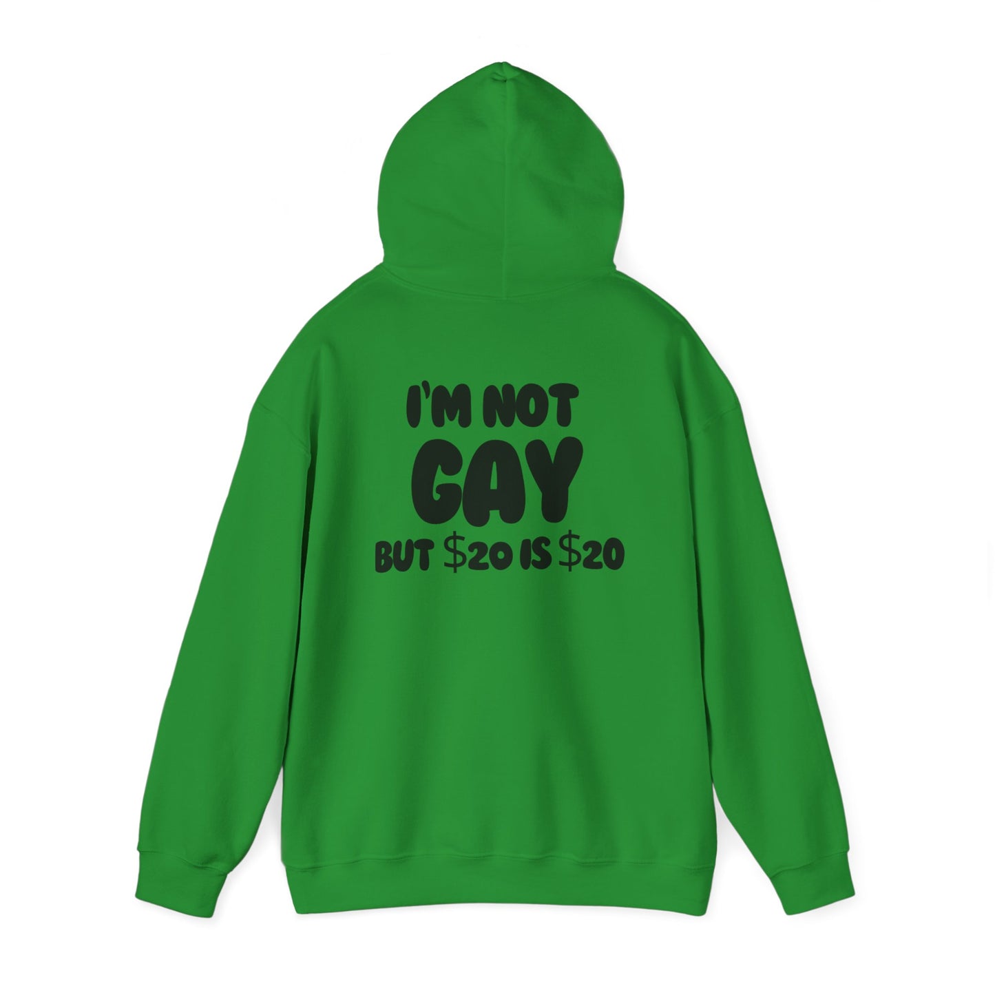 i'm not gay™ Hooded Sweatshirt